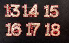 Load image into Gallery viewer, Pearl &amp; Red Rhinestone Line Number Pins (As seen on the Creamery)
