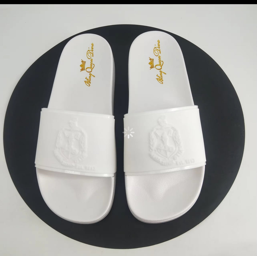 DST Embossed Slides Sleek Shiny Border