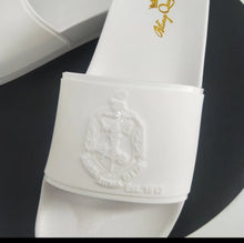 Load image into Gallery viewer, DST Embossed Slides Sleek Shiny Border
